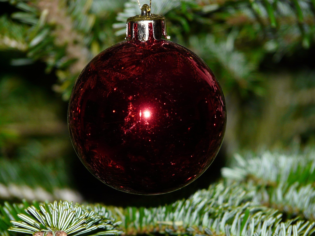glaskugel, weihnachten, tannenbaum, glitzern