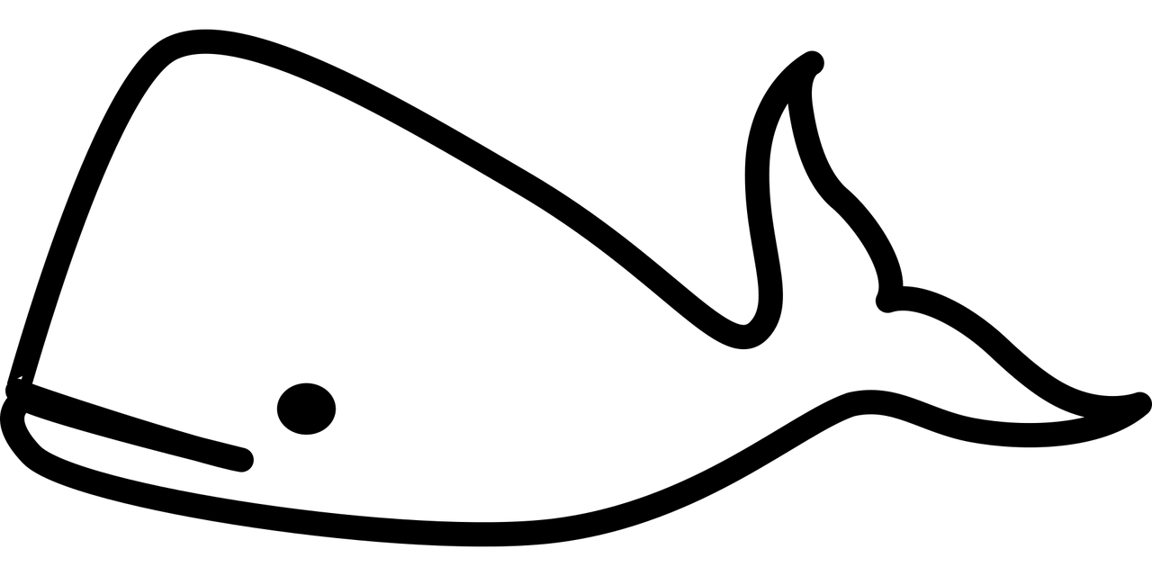 val, däggdjur, hav, skiss, bryter mot, stor, marin, mördare, natur, havsliv