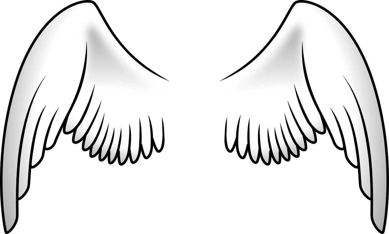 vingar, ängel, vit, flygande, flyg, fjädrar, fantasi, fiktion, mytisk, tecken, mönster, natur, fåglar