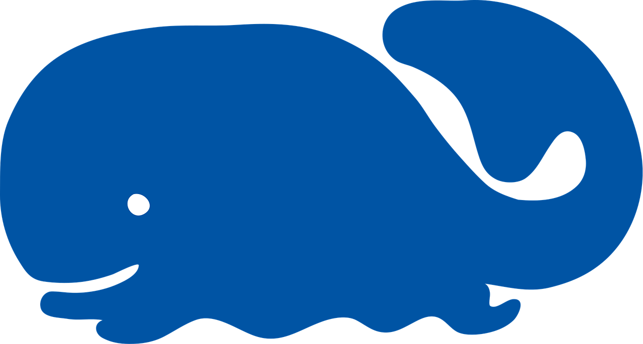 walvis, dieren, zoogdier, oceaan, natuur, vis, dieren in het wild, marinier, verzameling, onderwater, zwemmen, gebochelde, grote oceaan, karakter, aquatisch, vin, plons, orca, duiken, bedreigd, zeeleven, aquarium, sea world, glimlach, golf, blauwe vis, blauwe glimlach