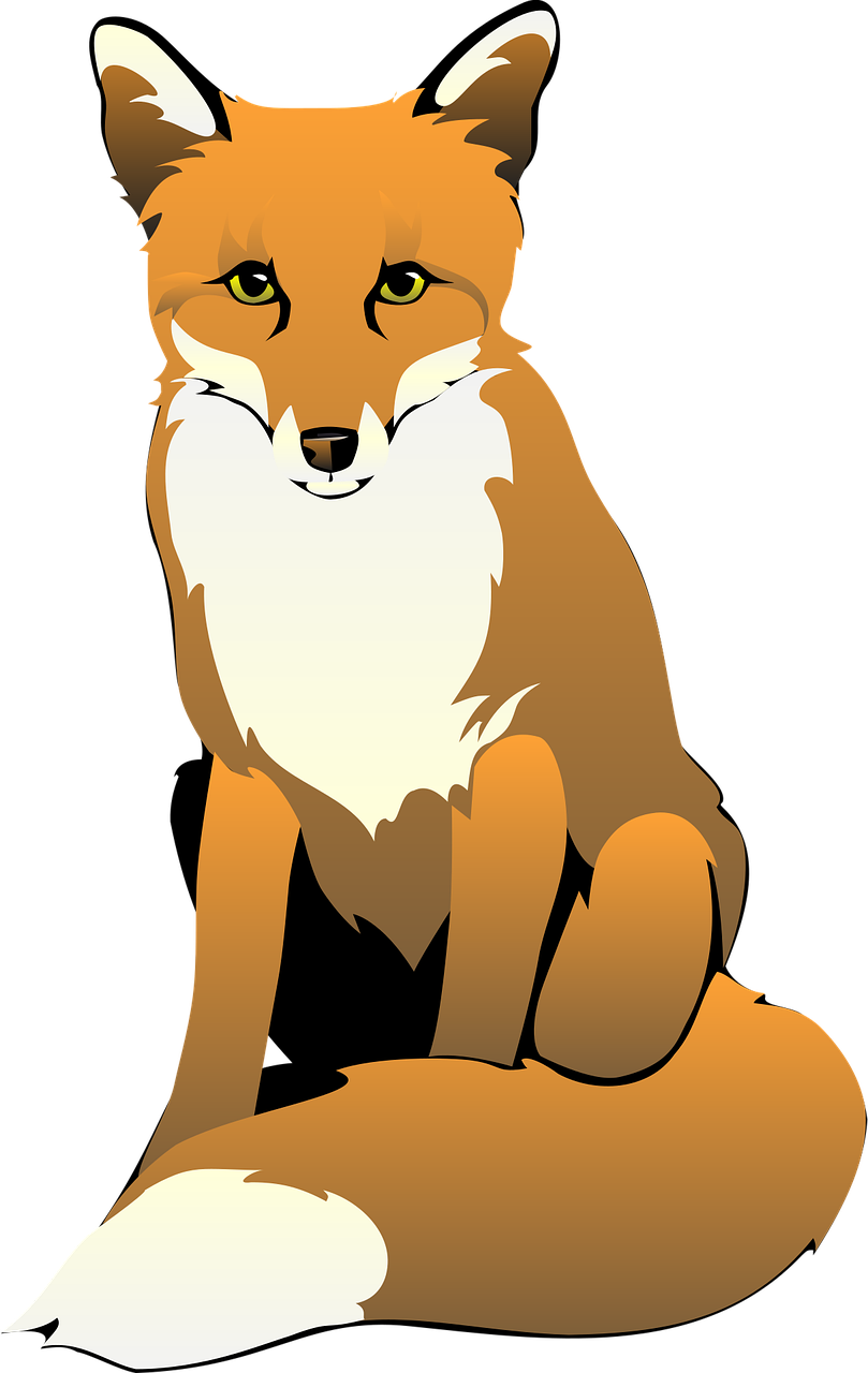 fuchs, tier, säugetier, wald, wild, natur, sammlung, zoo, sitzung, schwanz, kreaturen, zoologie, tierwelt, umgebung, biologie, raubtier, lebensraum, fleischfresser, fuchs, fuchs, fuchs, fuchs, fuchs