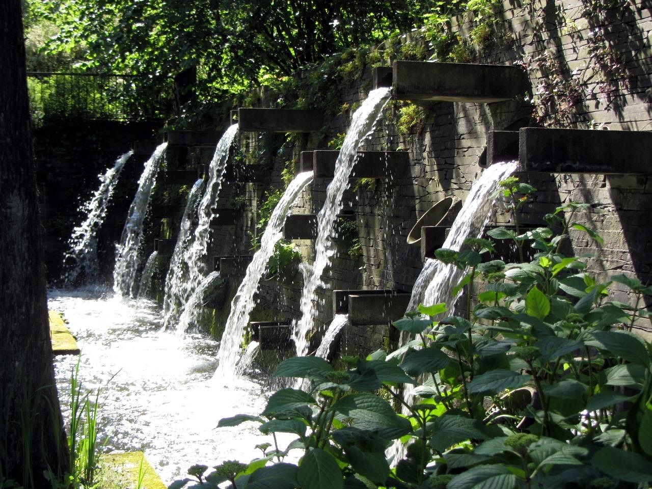 hamburg, nature, planned and bloomed, water, forest, bach, quiet