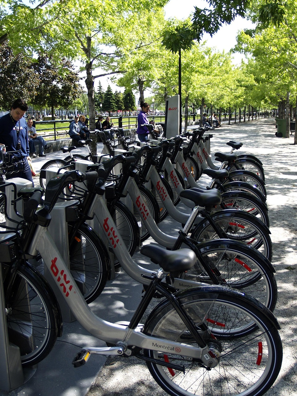 cyklar, rad, transport, sport, övning, fritid, livsstil, cykla, cyklist, aktiva, rekreation, cykling, resa, lopp, kuggstång, ridning, hälsosam, aktivitet, cykel, kondition, trampa, hjul