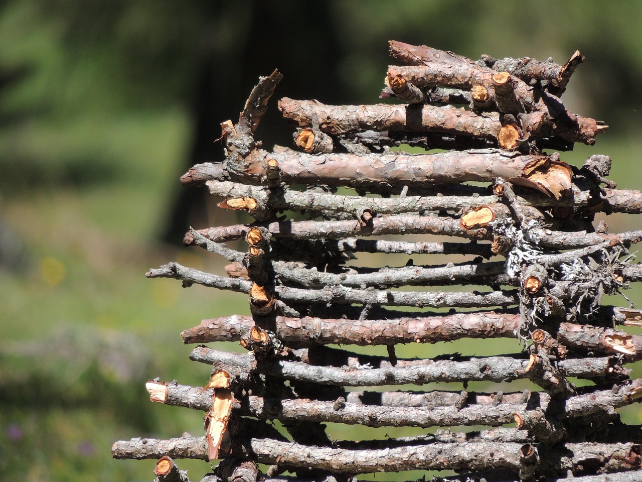 holz, holzstapel, feuerholz, brennholz-stapel, holzscheit, brennholz, äste