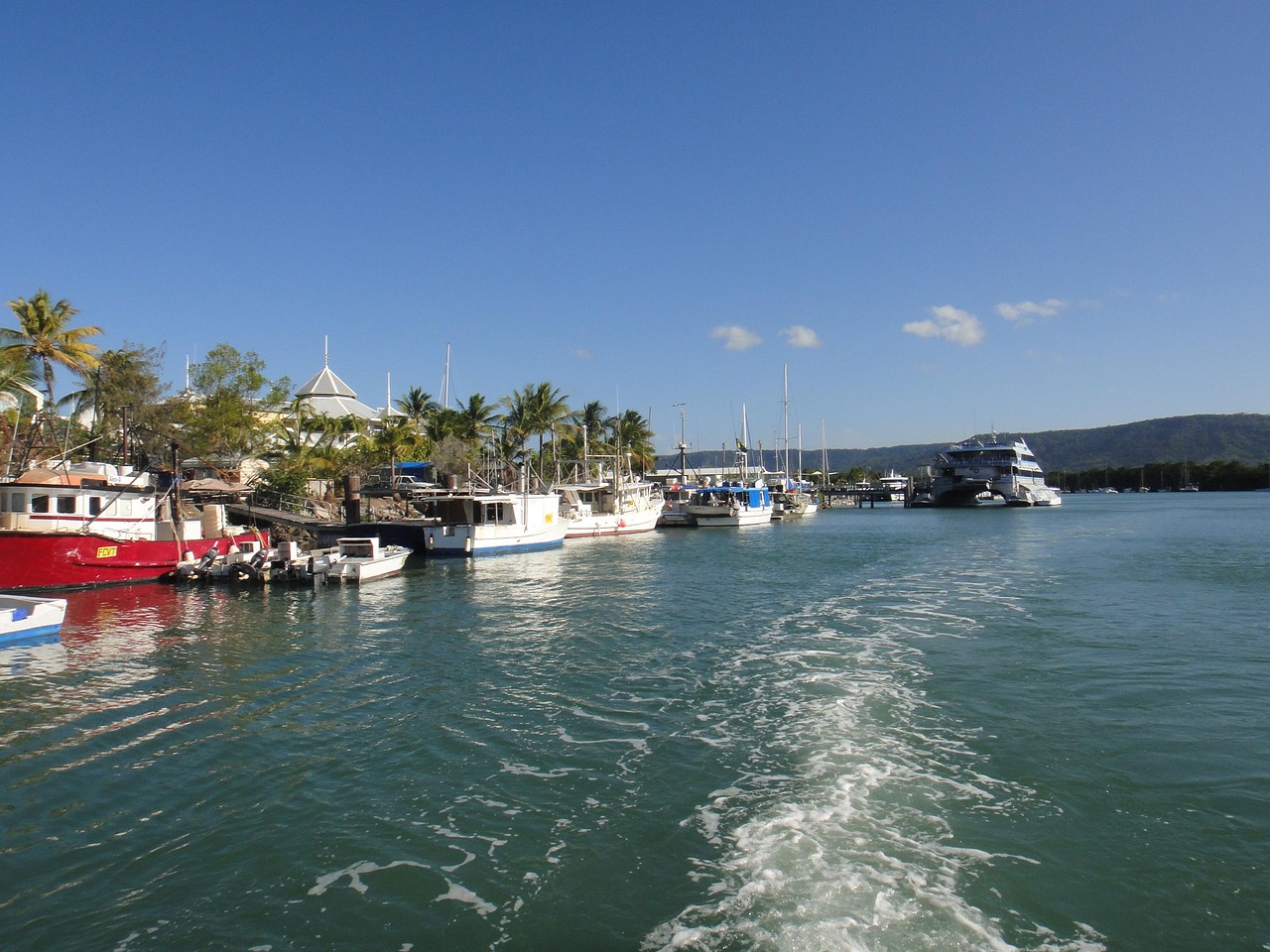 australien, hafen, boote, wasser, natur, port douglas