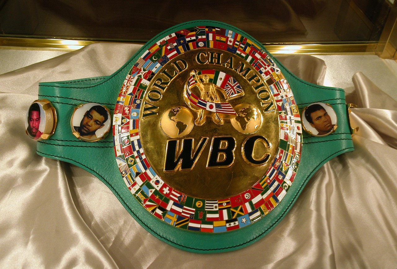 sport history, world boxing council, championship belt, brown sports, brown box, championship belt, championship belt, championship belt, championship belt, championship belt