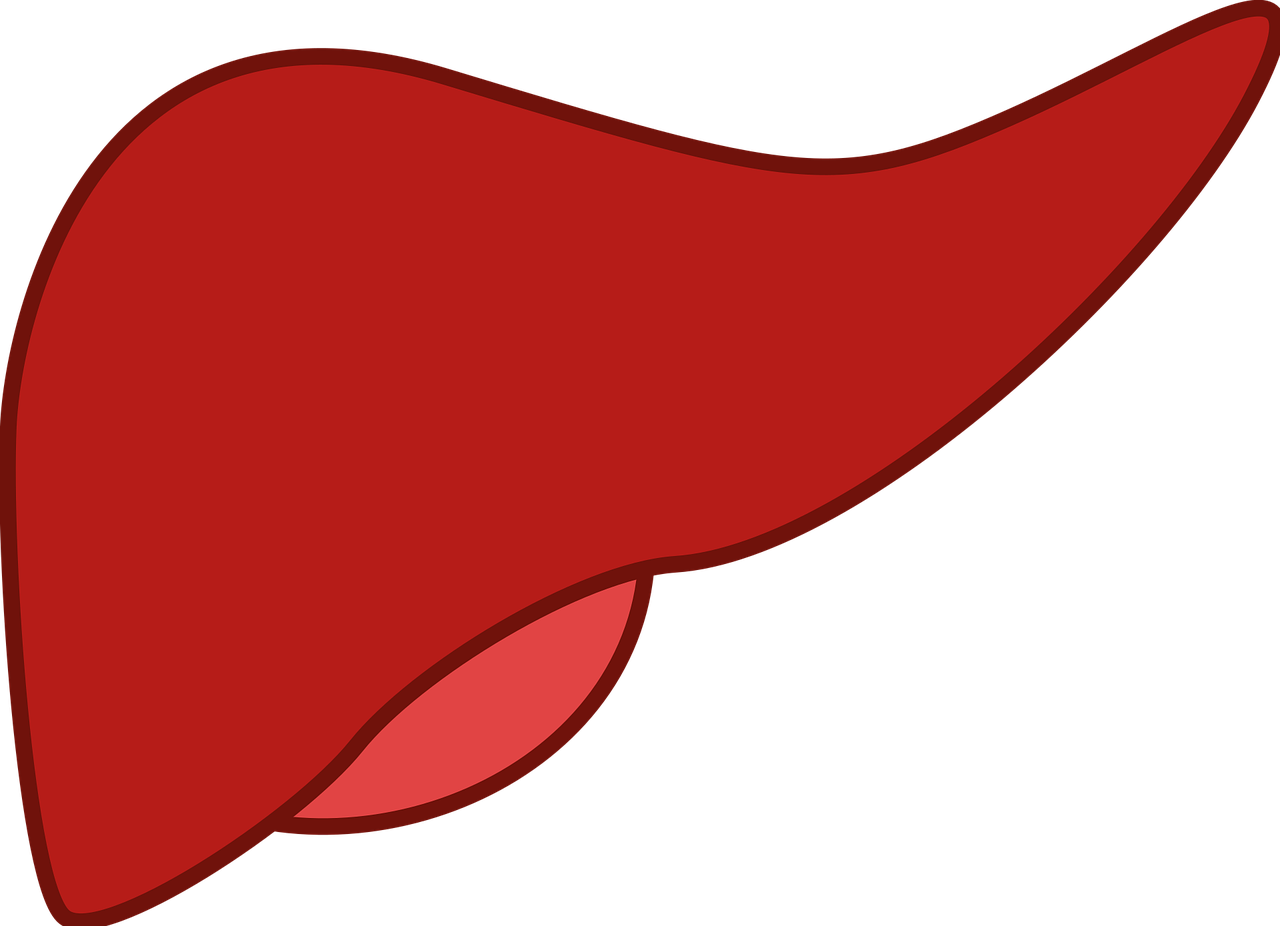 foie, médicament, organe, anatomie, rouge de la médecine, foie, foie, foie, foie, foie