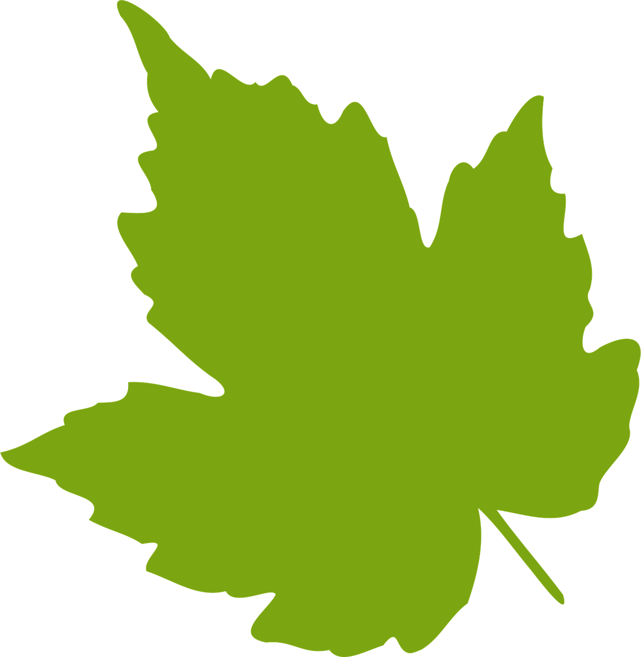 lönn, blad, lövverk, grönska, träd, natur, skog, höst