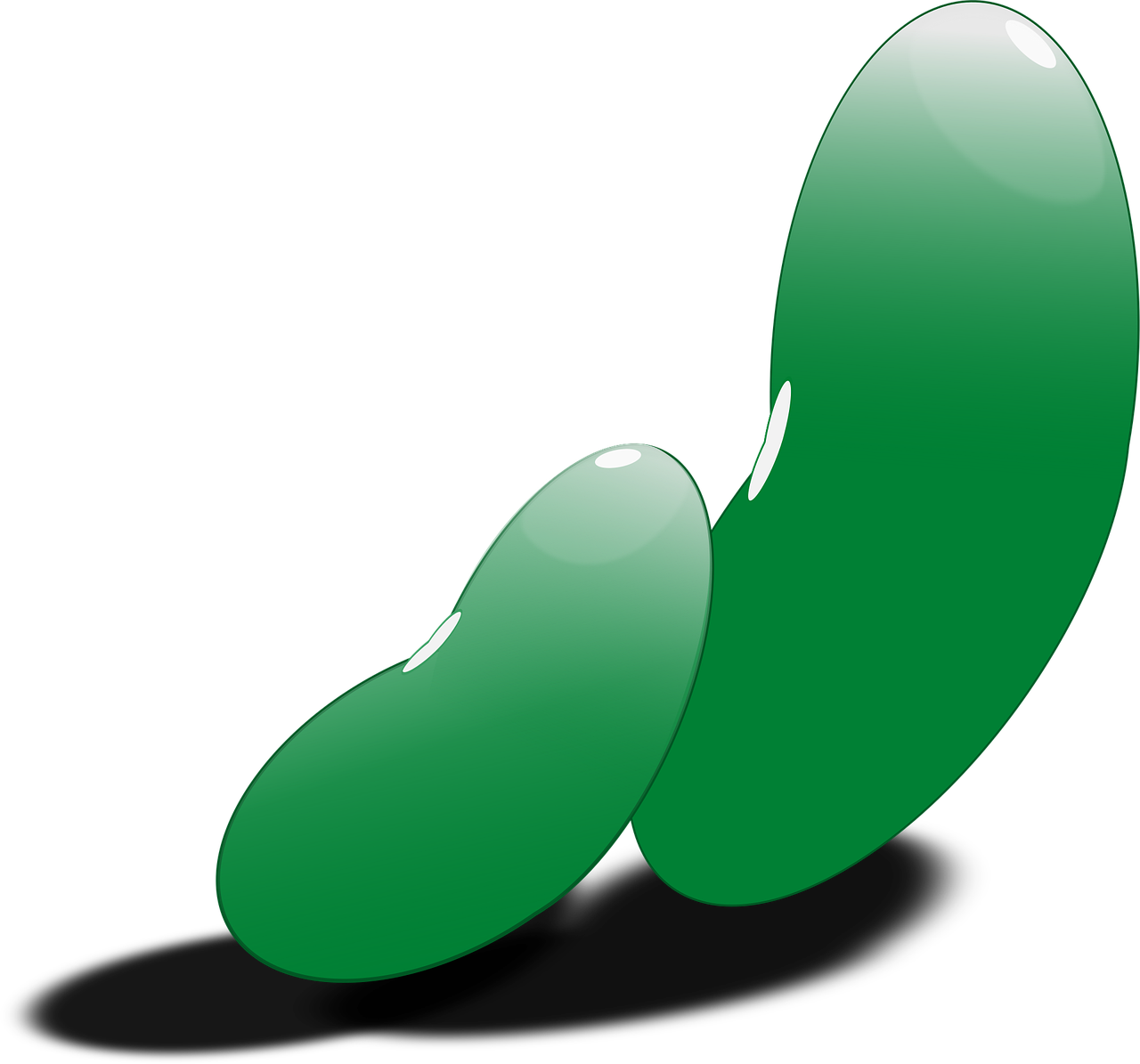 bean, beans, green, vegetable, bean, bean, bean, beans, beans, beans, beans, beans