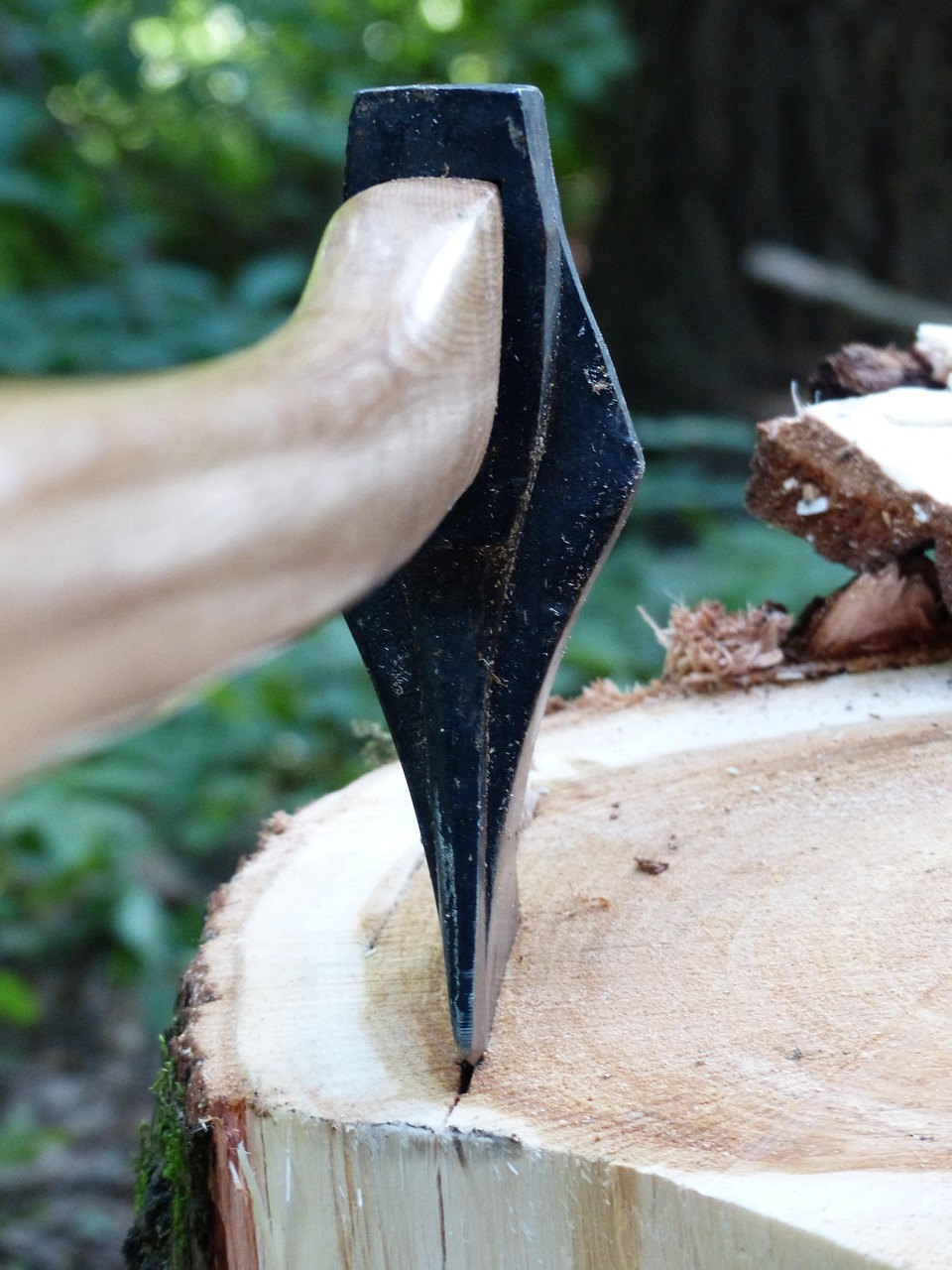 beil, axt, hacken, holzhacken, holzmachen, holzscheit, arbeiten, waldarbeit, baumstumpf, sägen, fällen