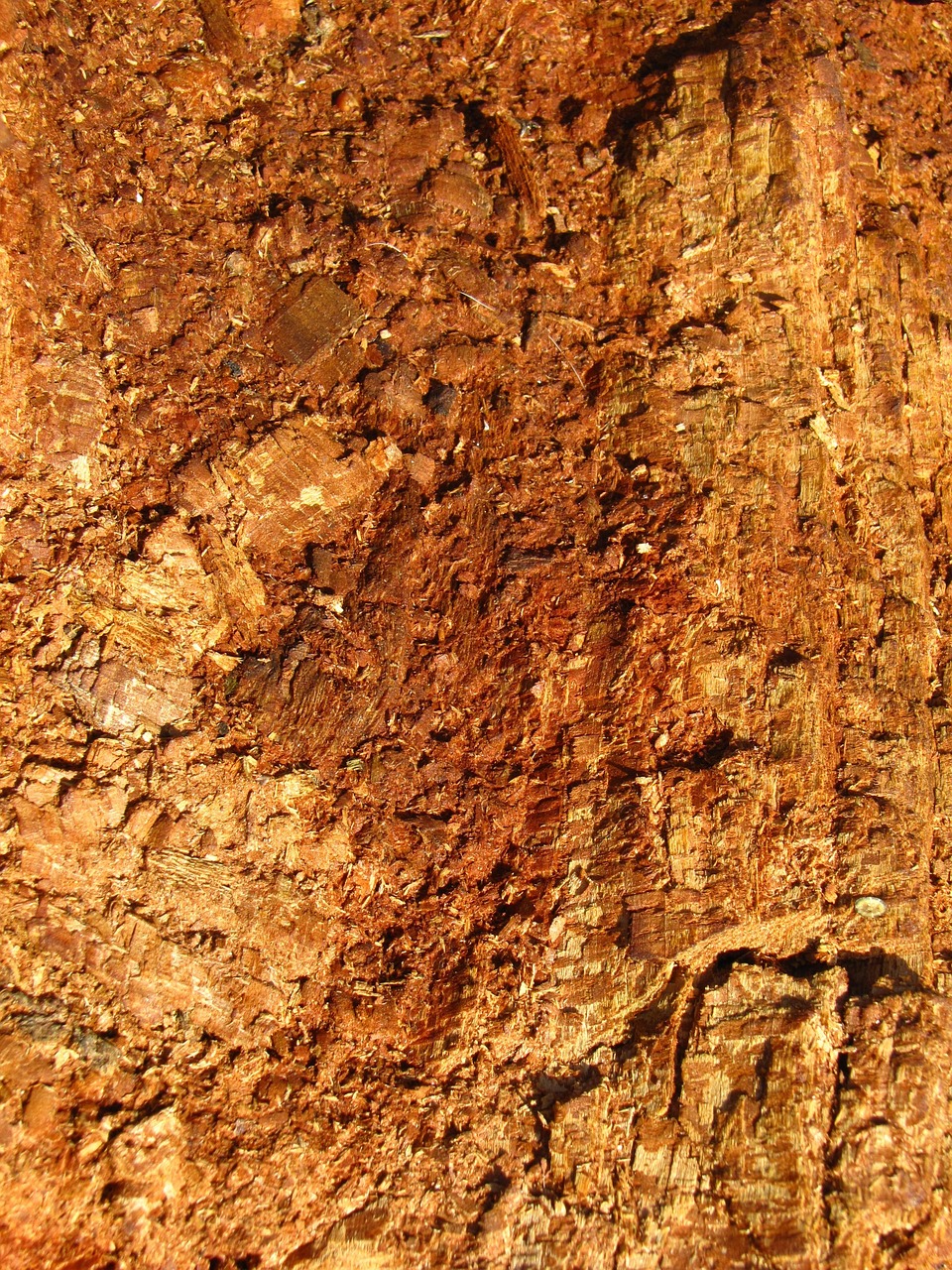 di legno, brown, natura, superfici, sfondi, trame, boschi, legnoso, difficile, grezzo, naturale, legname, alberi, legno duro, giallo, solido, separare, colori, pianura, arancione foresta, arancio, arancione texture, naturale arancio, sfondi iphone