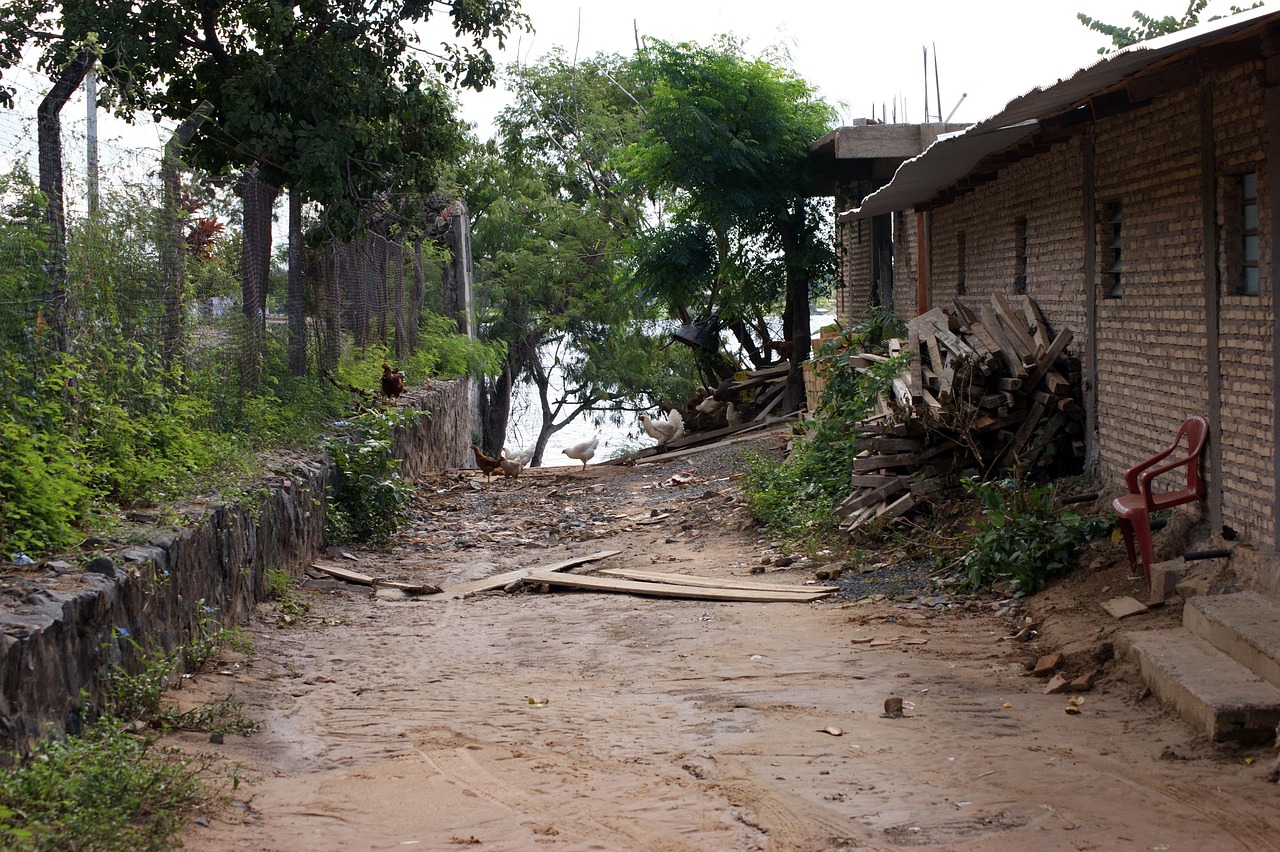 street, dead end, chicken, building, fence, tree, nature, paraguay, south america