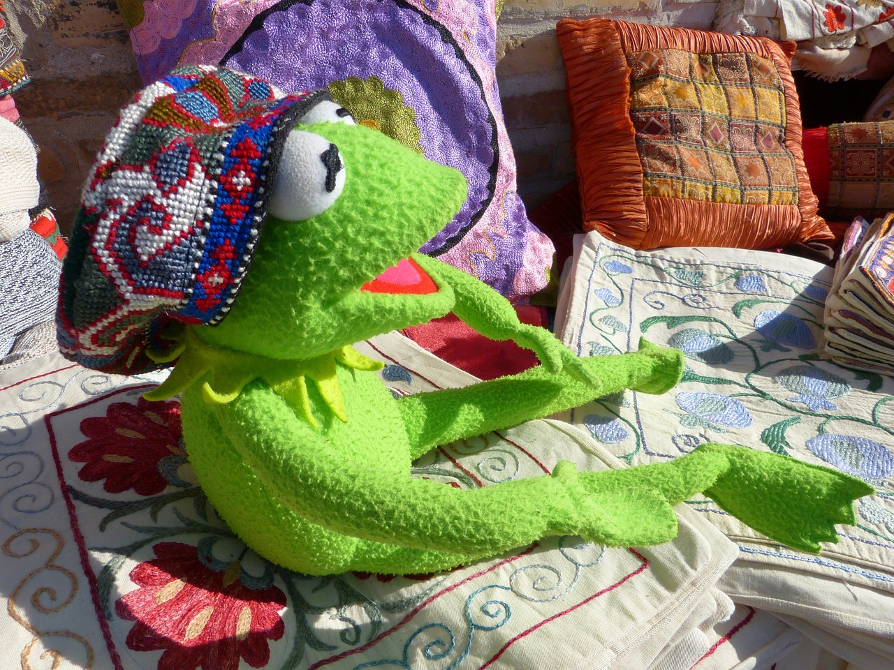 kermit, la grenouille, casquette, mettez, porter, couvre-chef, vêtements