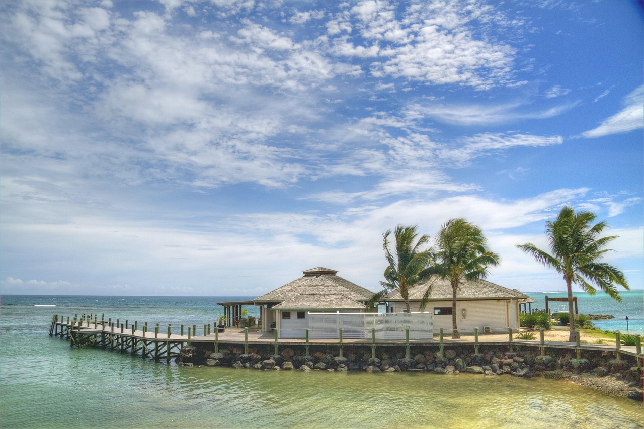 ricorrere, natura, samoa, piscina, palma, albero, turismo, vacanza, tropicale, sinalei resort