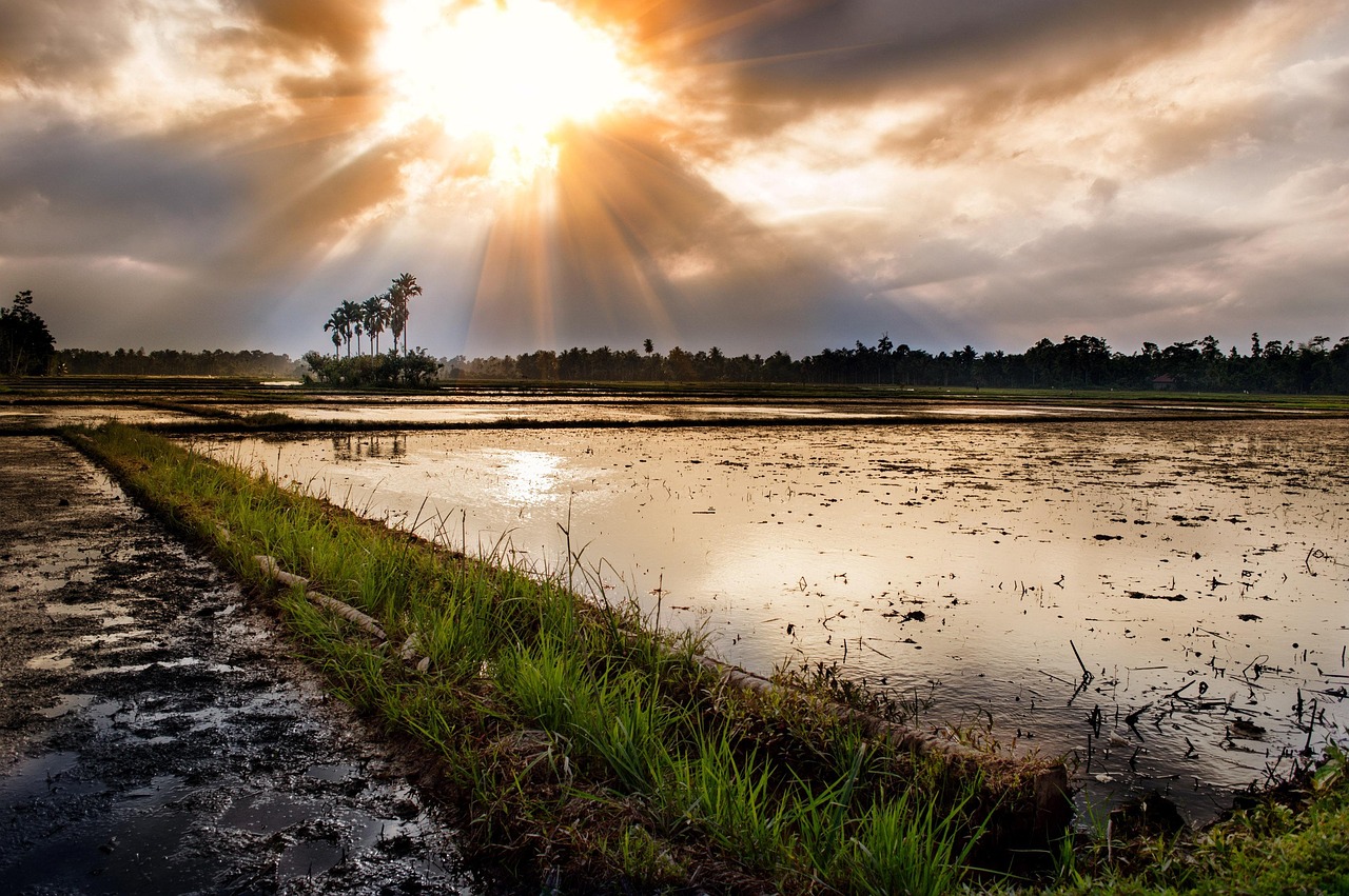 sunset, aceh, indonesia, landscape, wilderness, scenery, natural, wild, outdoor, land, sky, clouds, outdoors, scenic, tranquil, weather, meteorology, cloudscape, environment, nature, aceh, aceh, aceh, aceh, aceh, indonesia