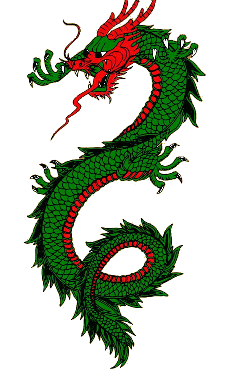 drago, lucertola, animale, creatura, rettile, verde, drago d'acqua cinese, drago verde acqua, mostro, cinese, tatuaggio, serpente, dinosauro, mostro marino, fantasia, serpente di mare, chinatown, draghi