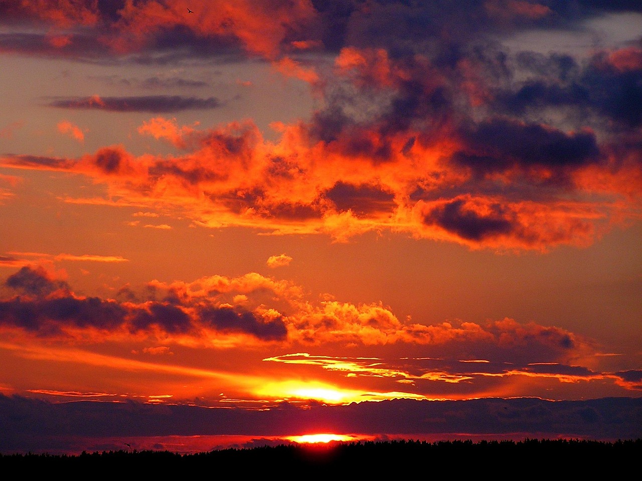 sunset, sunrise, sky, orange sky, clouds, cloudy, sun, skyscape, cloudscape, sunlight, dawn, dusk, silhouettes, nature, twilight, scenery, scenic