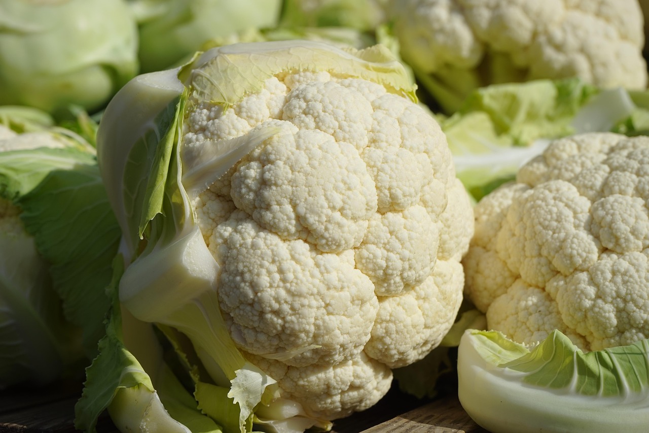 cauliflower, vegetables, market fresh vegetables, brassica oleracea var, botrytis l, cheese cabbage, flowering cabbage, grape cabbage, minaret cabbage, italian cabbage, cultivar, vegetable cabbage, brassica oleracea, flower sprouts, flowering vegetables, type of cabbage, inflorescence, cauliflower, cauliflower, cauliflower, cauliflower, cauliflower