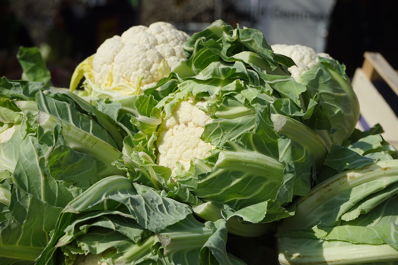 cauliflower, vegetables, market fresh vegetables, brassica oleracea var, botrytis l, cheese cabbage, flowering cabbage, grape cabbage, minaret cabbage, italian cabbage, cultivar, vegetable cabbage, brassica oleracea, flower sprouts, flowering vegetables, type of cabbage, inflorescence, cauliflower, cauliflower, cauliflower, cauliflower, cauliflower