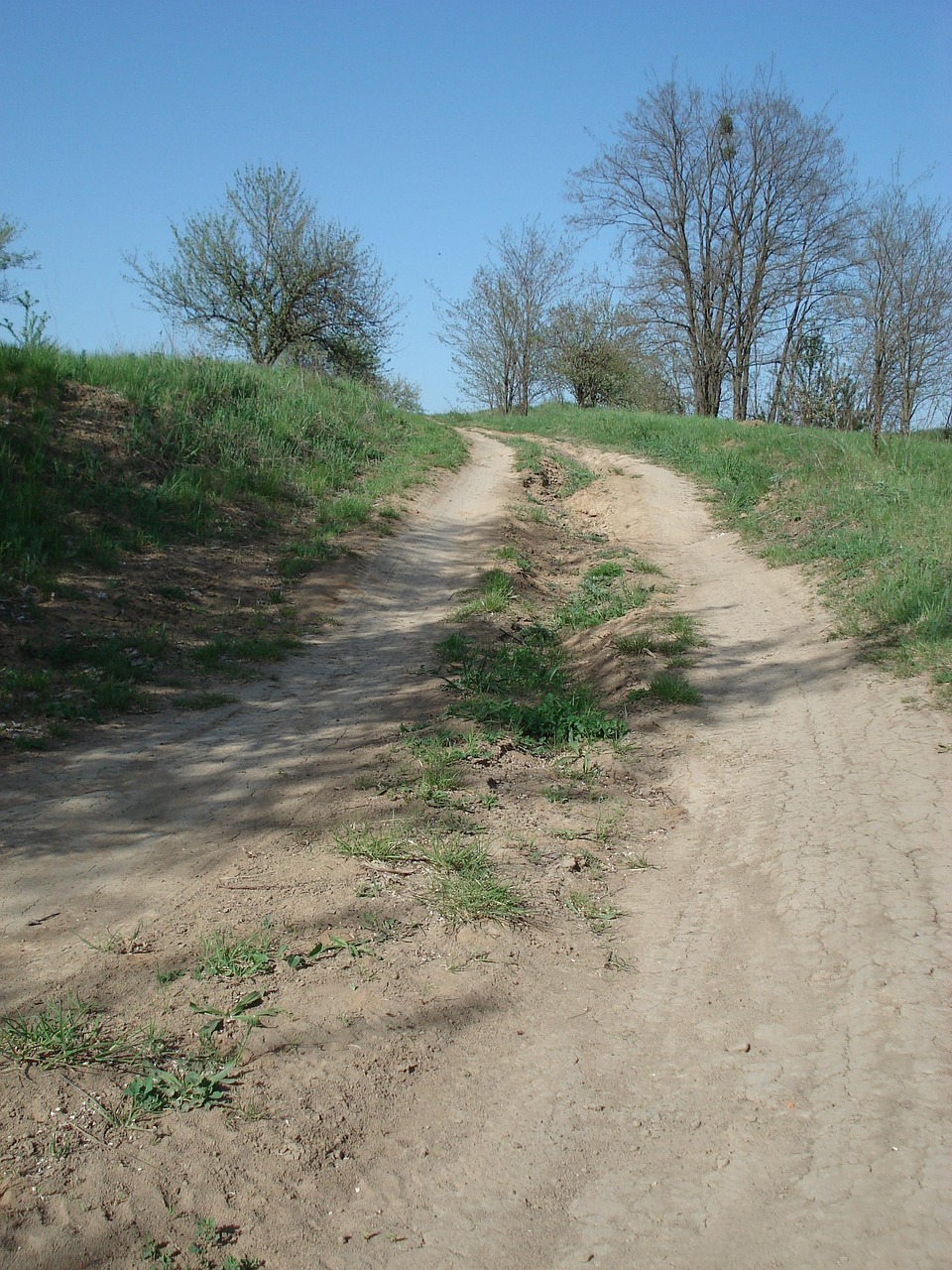 droga polna, droga, wiejski, ścieżka polna, tor rolniczy, pasie kraju, wzgórzu, natura, lato