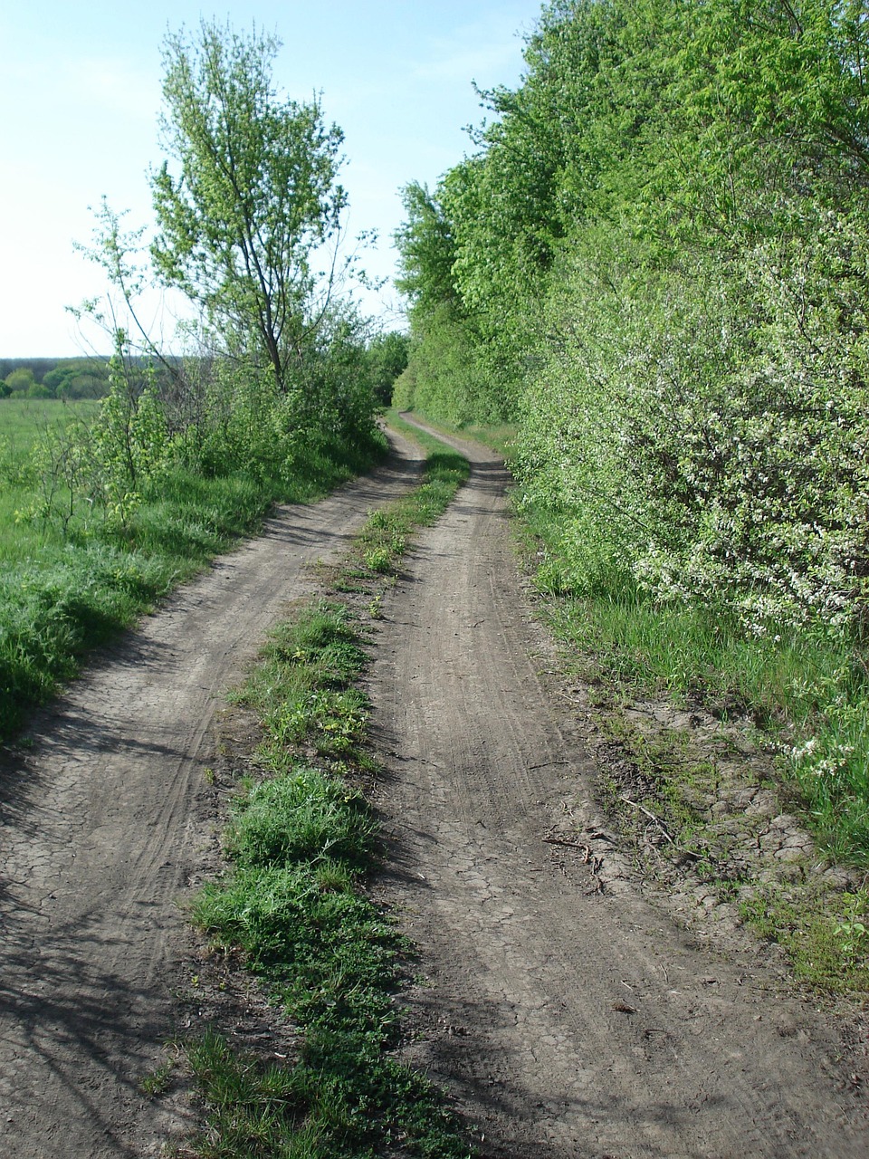droga, brud, backroad, kraj, wiejski, polna droga, natura, tor rolniczy, ścieżka polna, pasie kraju, lato, zielona droga