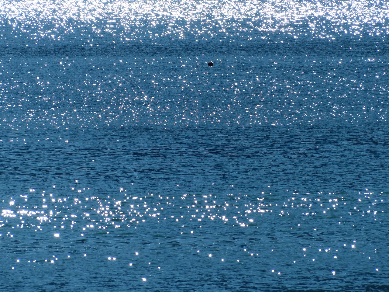 wasser, glitzern, natur, glänzen, gegenlicht