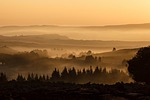 Sunset trees hills mountains conifers coniferous conifer forest forests woods silhouettes dusk foggy fog mist scenery landscape rural countryside nature background