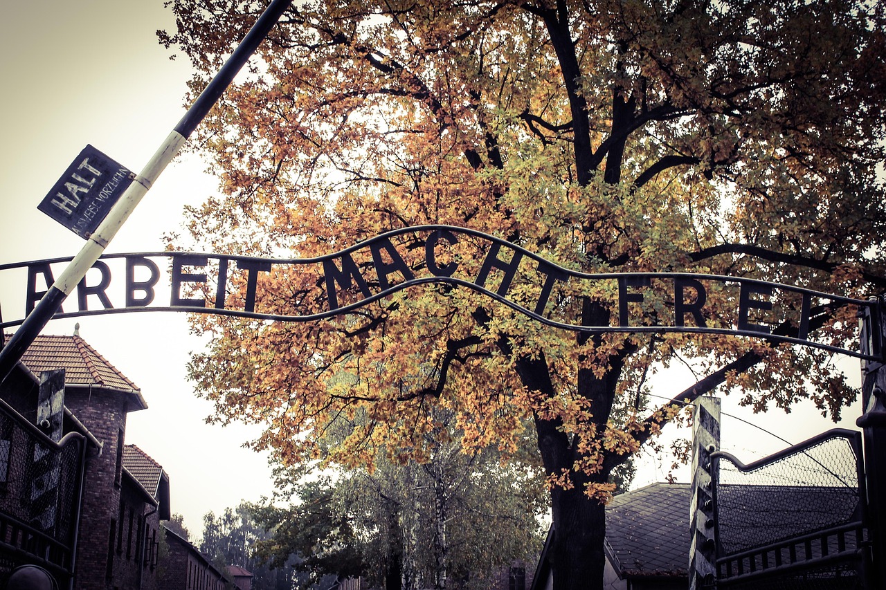 auschwitz, portão, quadro indicador, escrita, campo de extermínio, campo de concentração, campo de trabalho, o museu, monumento, outono, árvore, folhas, natureza