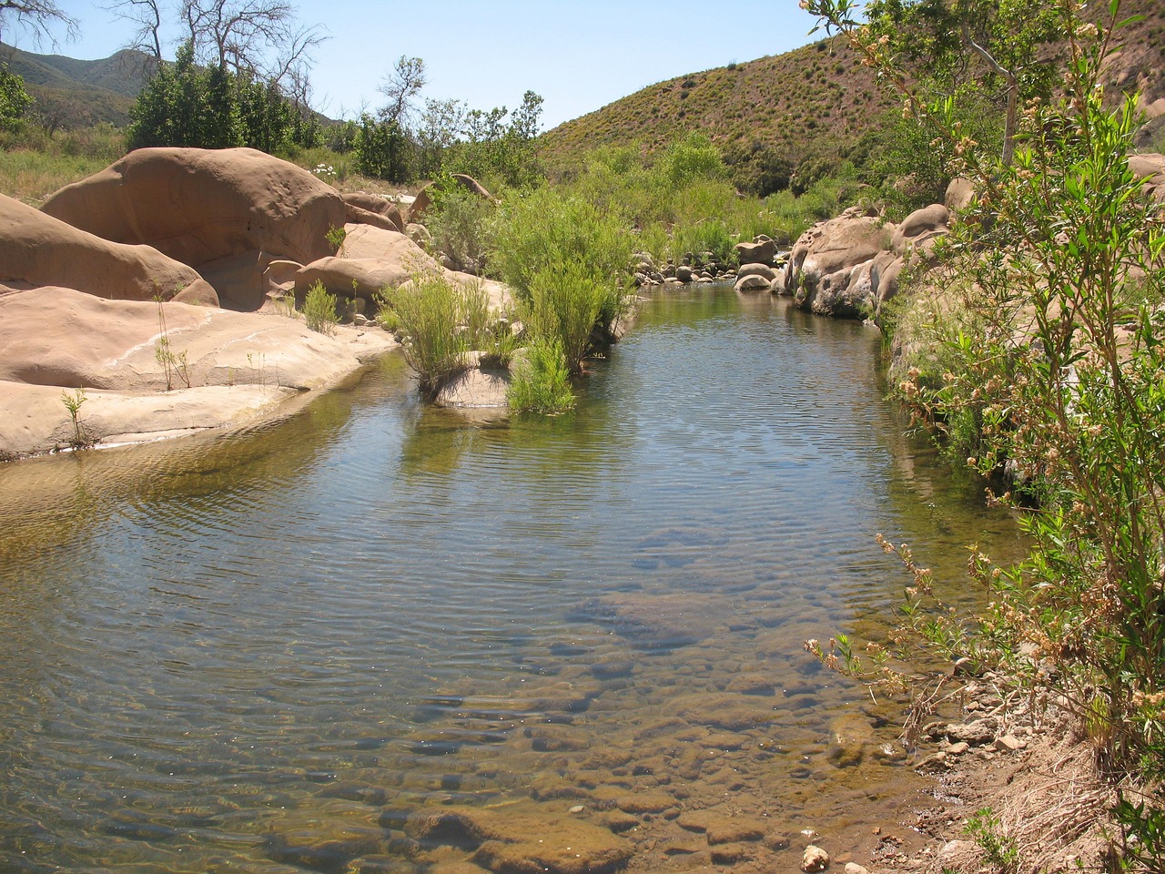 bach, sespe, wildnis, wüste, harsch, oase, felsen, natur, bachlauf, fluss, wasser, sandstein, kieselsteine, gras, schilf, bank, ufer, kalifornien, wandern, terrain, draußen, erkunden, abenteuer, entdeckung, szenisch