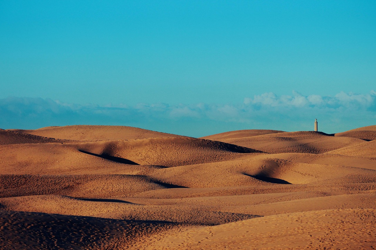 öken, dyner maspalomas, maspalomas, sand, kanariefågel, natur, resa, sanddyner