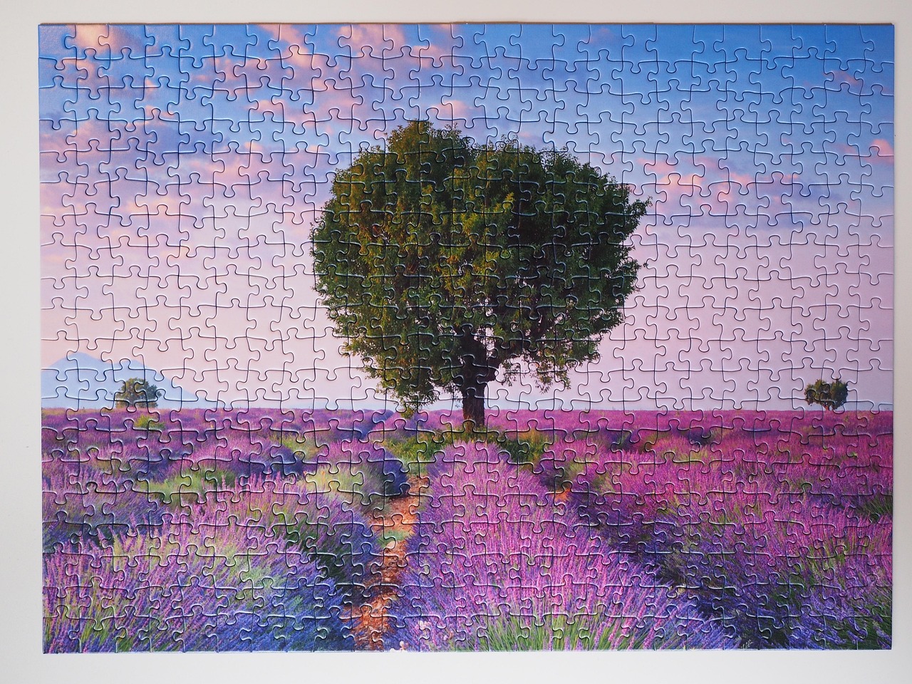 puzzle, solved, finished, put together, game, patience, placement game, pastime, completed, puzzle, puzzle, puzzle, puzzle, puzzle, patience, patience