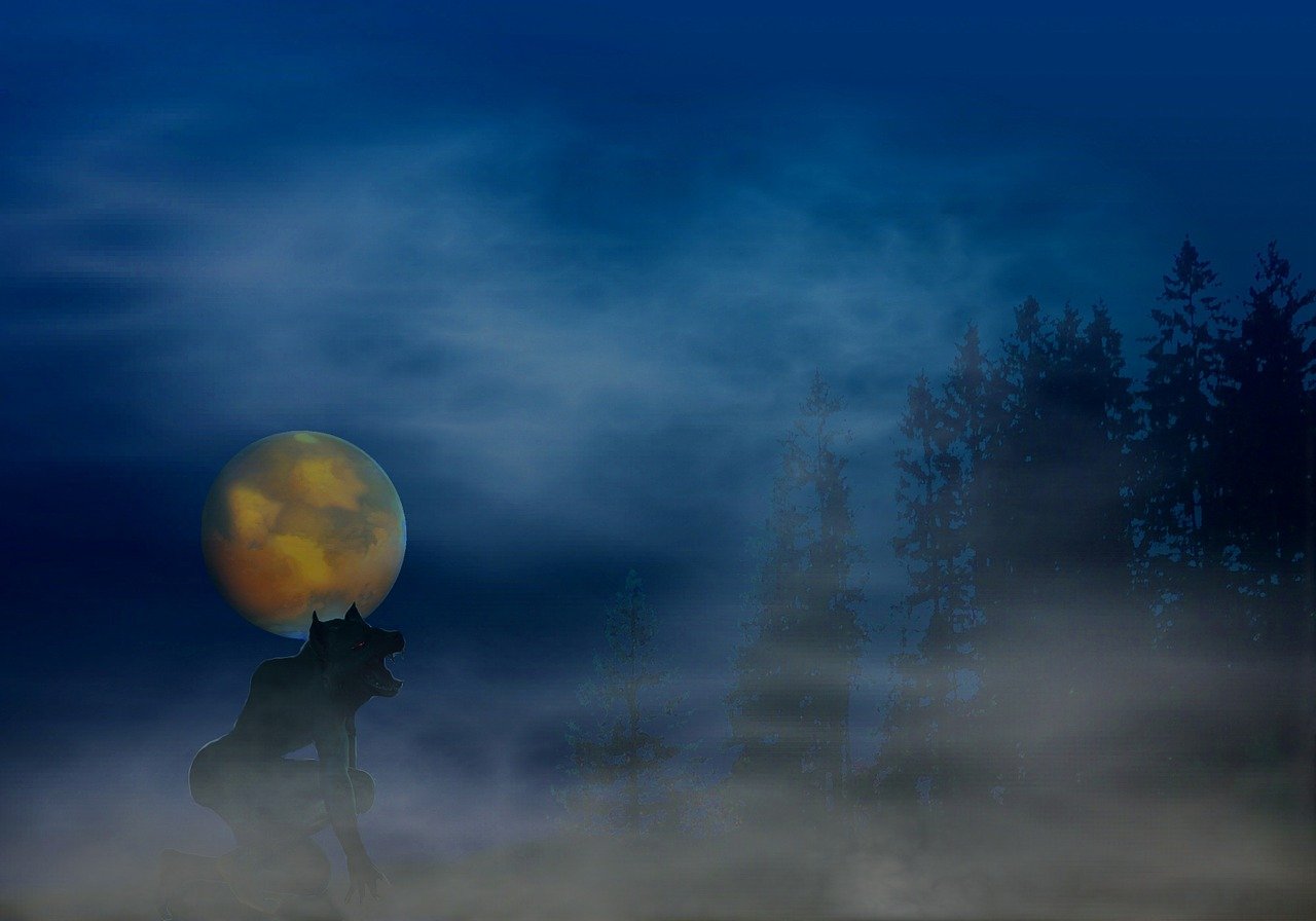 werewolf, fantasy, imagination, abstract, scary, howl, surreal, being, moon, werewolf, werewolf, werewolf, werewolf, werewolf