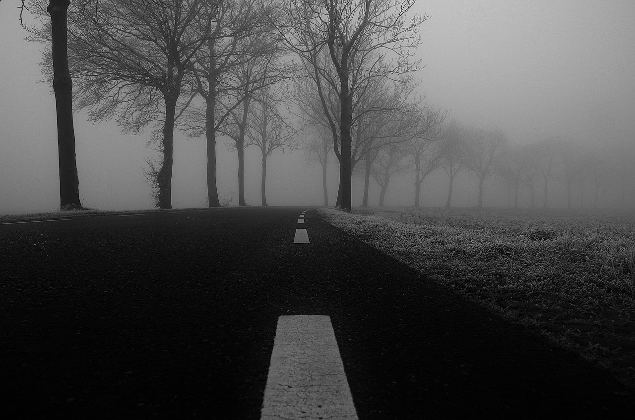 winter, frost, fog, road, cold, dark, misty, grass, trees, nature, grey, pavement, black and white, gray tree, gray road, gray grass, gray dark