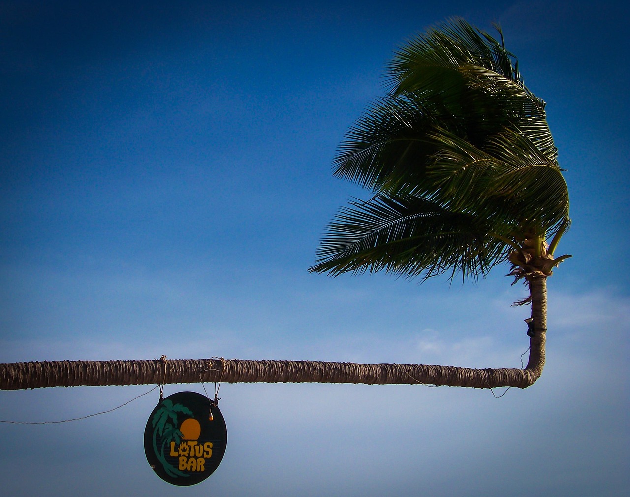 albero di palma, cartello, vacanze, spiaggia, spiagge, tropical, palm, caraibico, albero, mare, natura, isola, estate, sabbia, sandy beach, viaggi, sun, oceano, aria, destinazione vacanza, resort per le vacanze, piccante, gustoso, costa, la pace, tranquillo, serenità, relax, turismo, thailandia