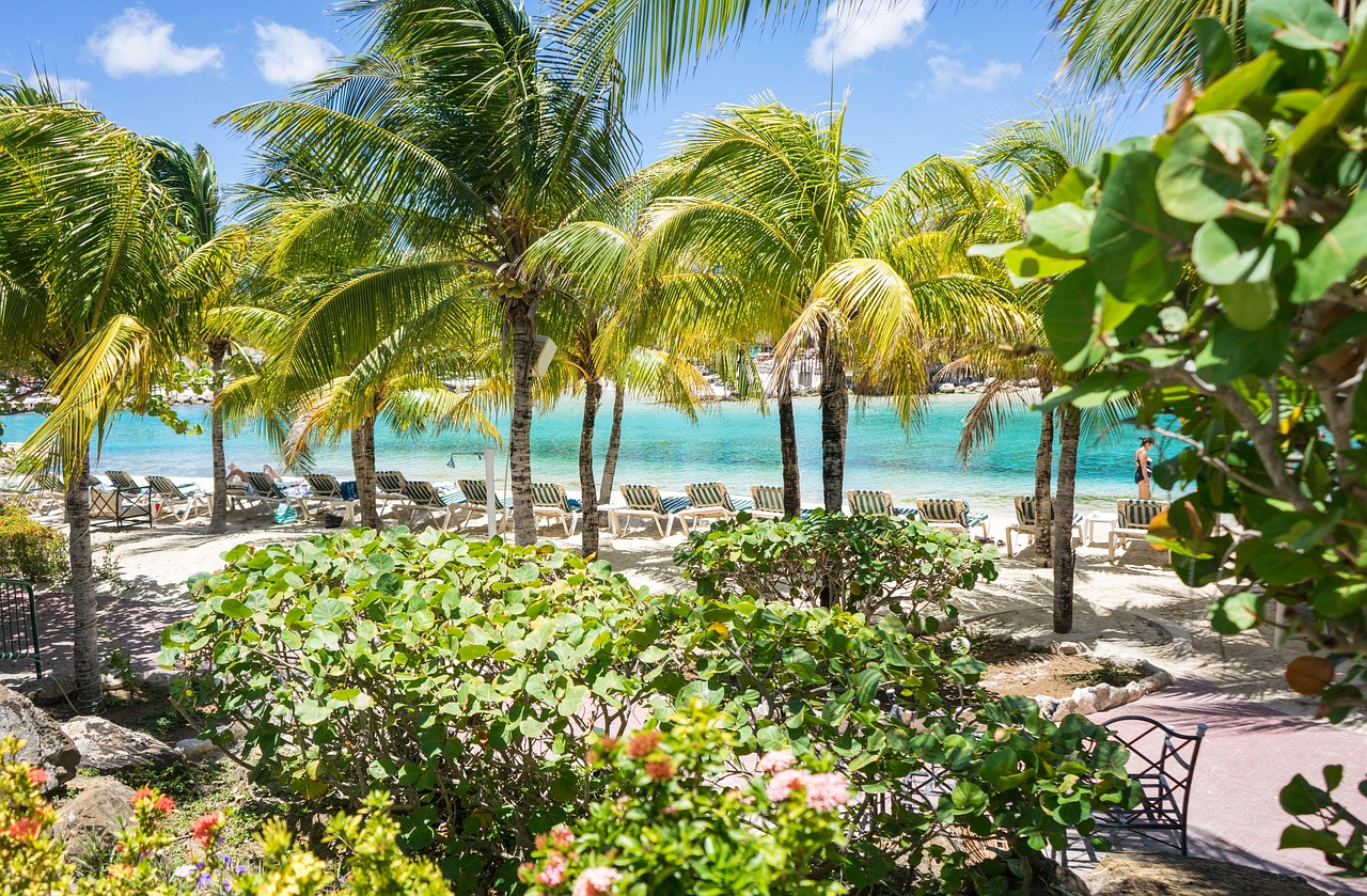 ricorrere, caraibico, curacao, viaggio, spiaggia, acqua, oceano, tropicale, mare, estate, vacanza, turismo, cielo, cielo blu, blu, costa, sabbia, natura, paradiso, relax, rilassamento, isola, esotico, all'aperto, giorno, soleggiato, paesaggio, palma, destinazioni, paesaggio marino