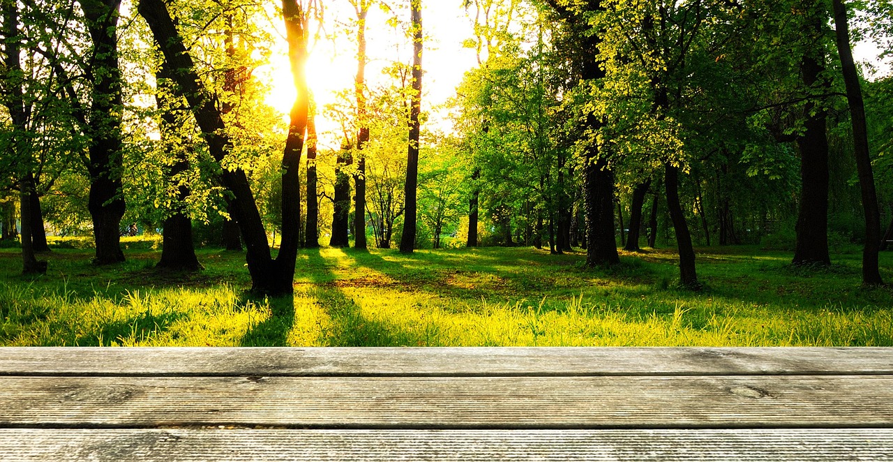 background, fondo, madera, fondo de pantalla de alta definición, hermoso fondo de pantalla, bosque, papel tapiz de windows, fondo de pantalla hd, fondo de pantalla mac, fondo de pantalla 4k 1920x1080, fondo de pantalla gratis, fondo de la naturaleza, fondo de pantalla 4k, presentacion, fondo de pantalla, papel pintado del ordenador portátil, fondos geniales, fondo de pantalla de alta definición completa, colores, verde, naturaleza, hermosa naturaleza, al aire libre, campo, wooden, fondos de escritorio, fondo libre, floor, terrace, over, forest, papel pintado de la naturaleza, wallpaper