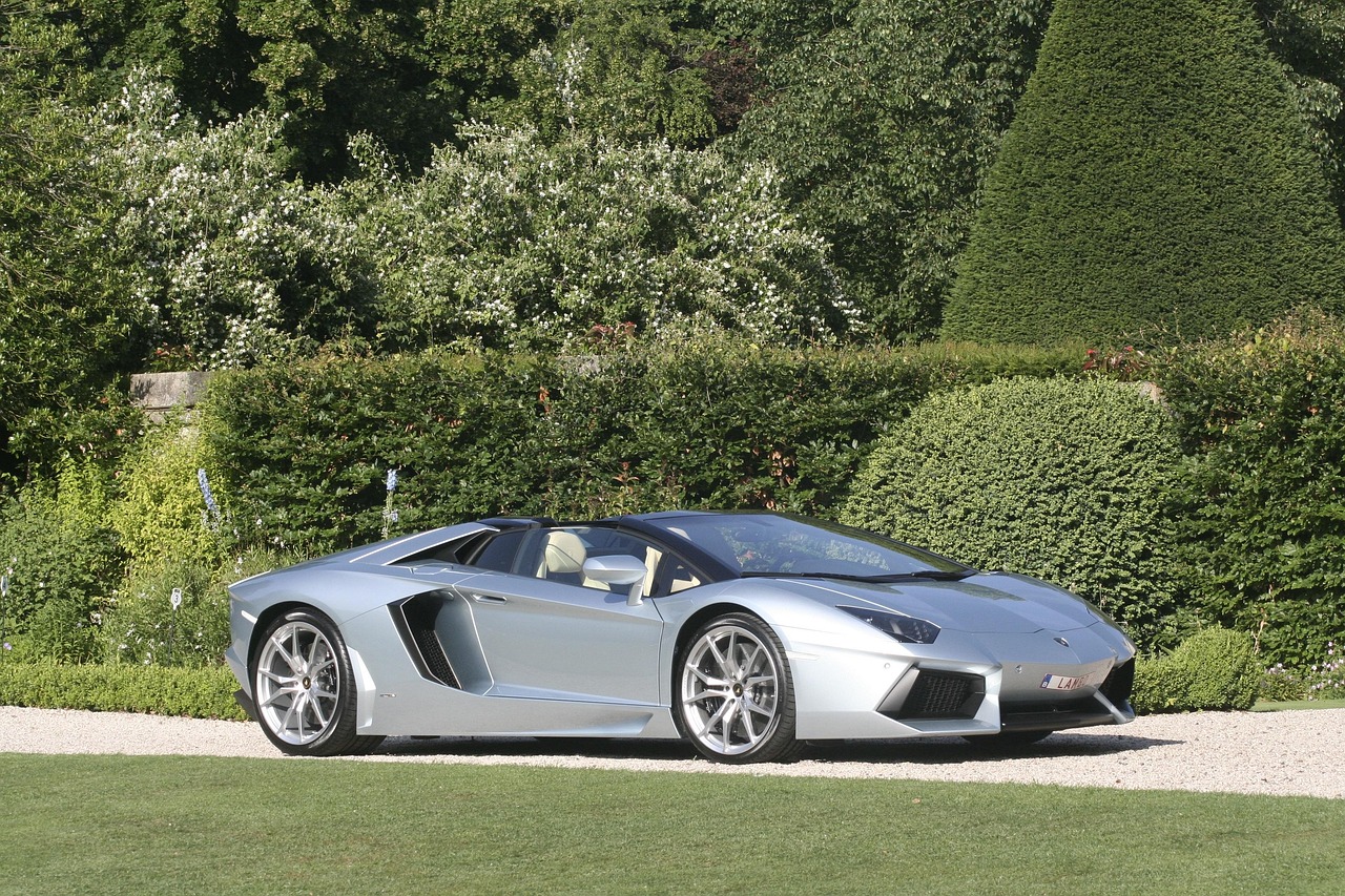 lamborghini aventador, natur, garten, autos, der lebensstil