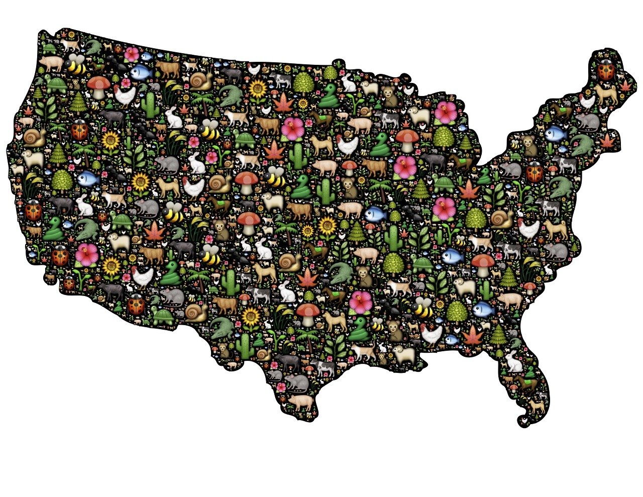 natur, tiere, pflanzen, kreaturen, insekten, tierwelt, leben, natur abstrakt, usa, land, muster, symbole