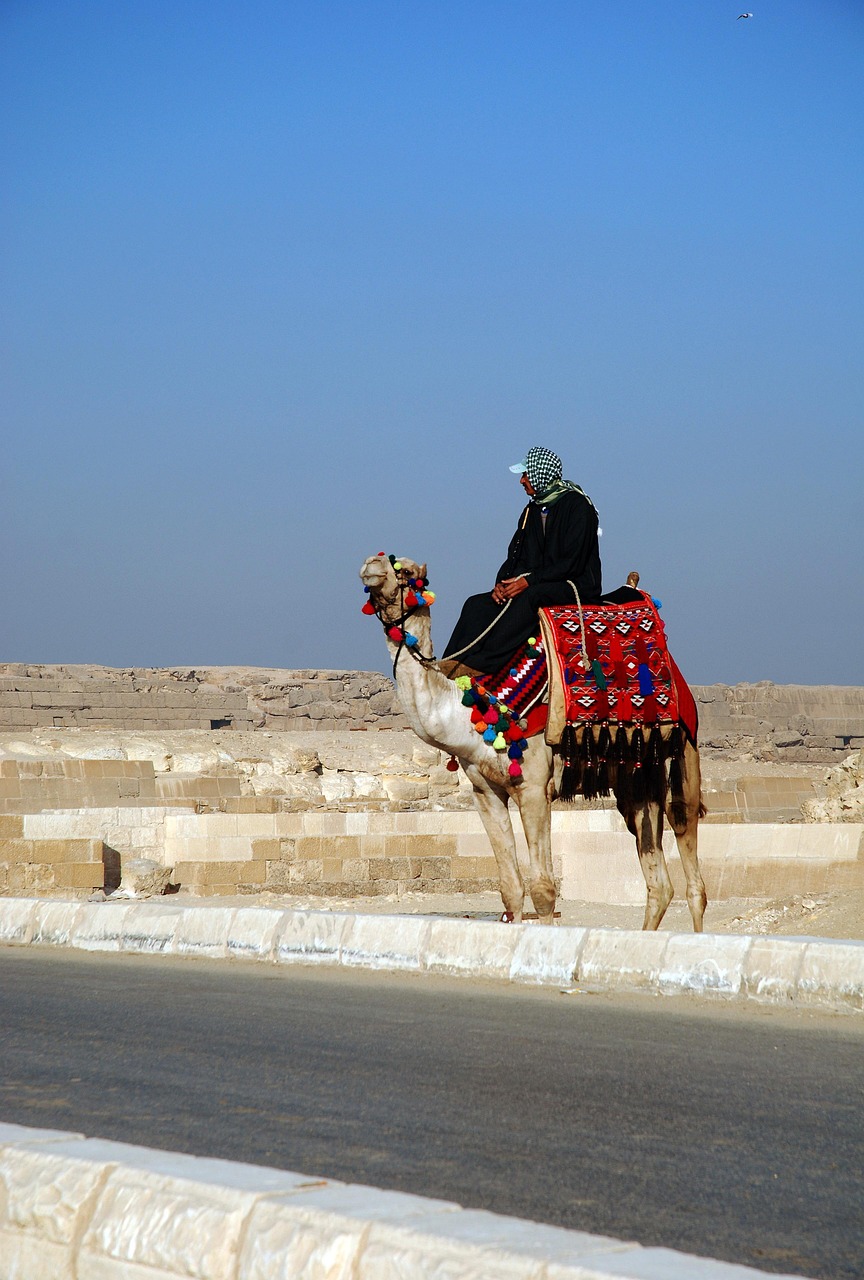 egypt, starověký, archeologie, pyramidy, gíza, káhira, historický, sochy, kameny, léto, staré, památky, památník, architektura, staré budovy, ruiny, příroda, velbloud