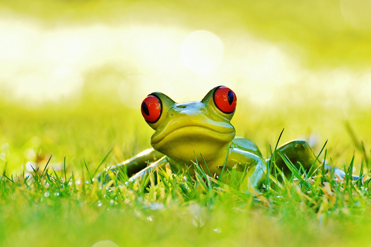 frog, meadow, nature, figure, animal, green, cute, fun, funny, artificial stone, decoration