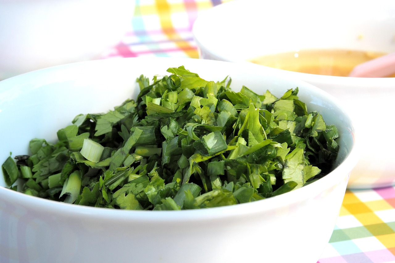 coriander, seasoning, food, green, vegetable, coriander, coriander, coriander, coriander, coriander