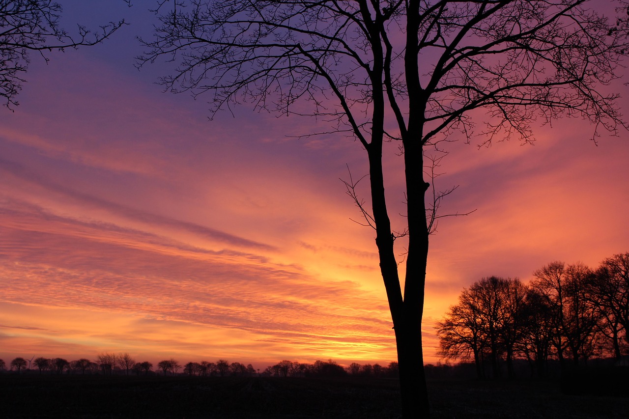 sonnenaufgang, winter, morgenhimmel, bäume, natur, landschaft, himmel