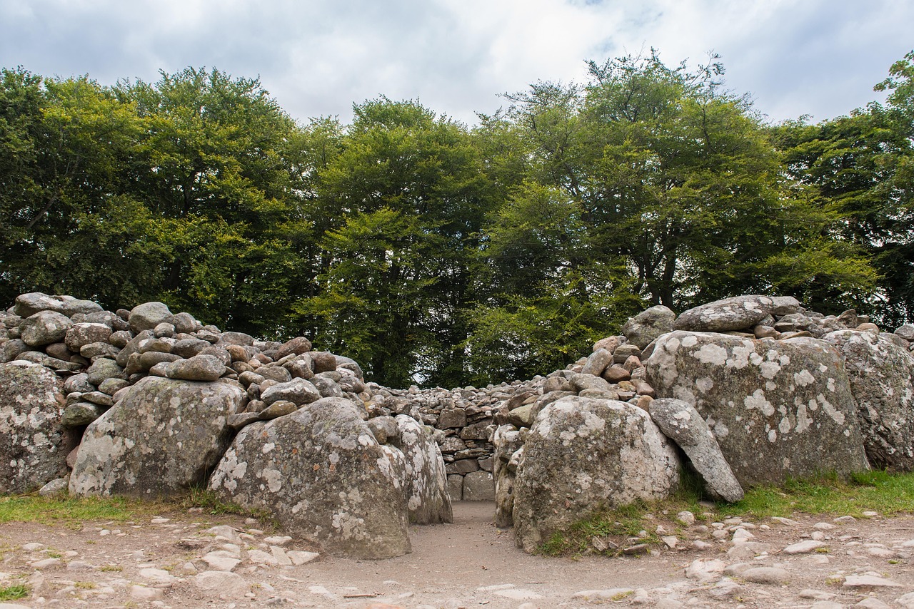 clava cairn, resting place, graveyard, archaeology, prehistory, dig, tombstone, chamber, stone, rock, grass, tree, scotland, old, funeral, tombs, in the countryside, nature, ancient