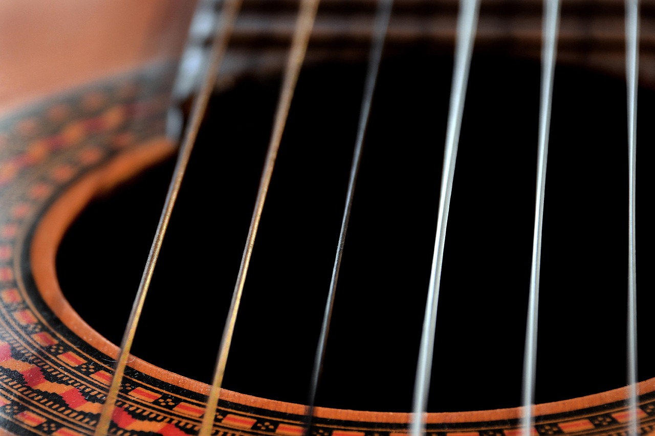muzyka, muzyk, kolor, odtwarzacz muzyki, instrument muzyczny, e-gitara, gitara, amanita muscaria, gitary, instrumenty muzyczne, instrumenty, cuerdas