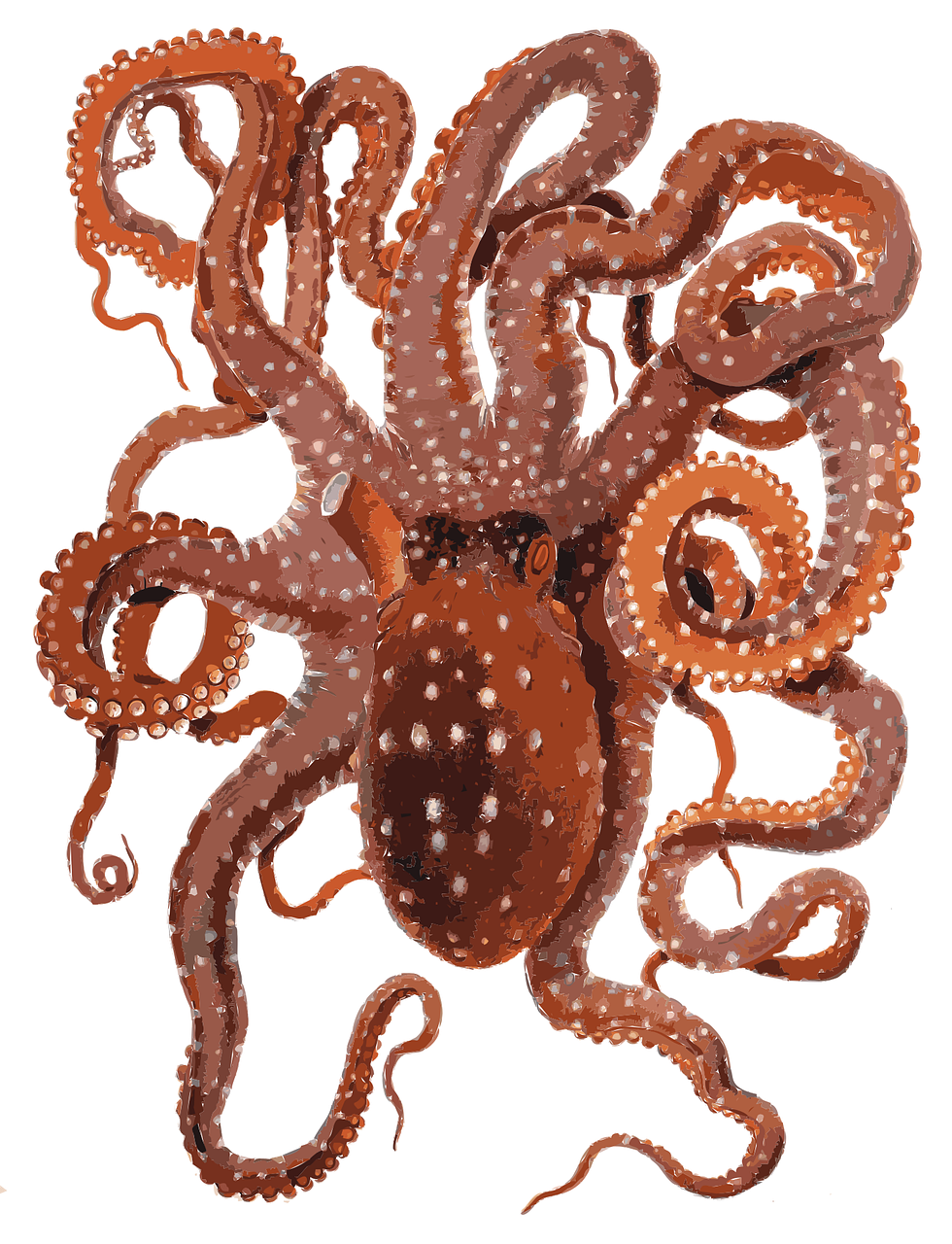 cartoon, clipart issue, comic, octopus, request complete, t-shirts, octopus, octopus, octopus, octopus, octopus
