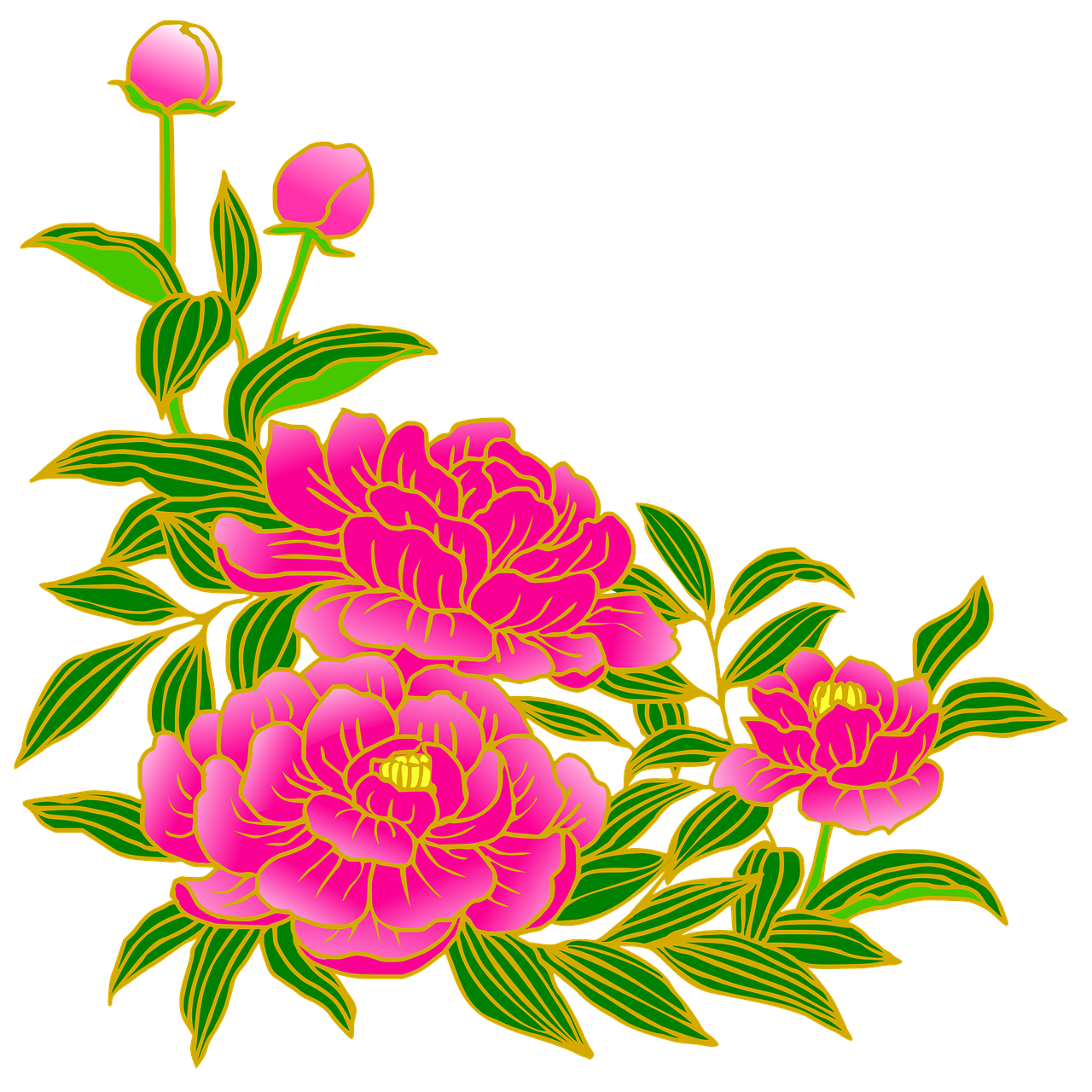peony, pink, vulgar, flowers, summer, nature, japanese style