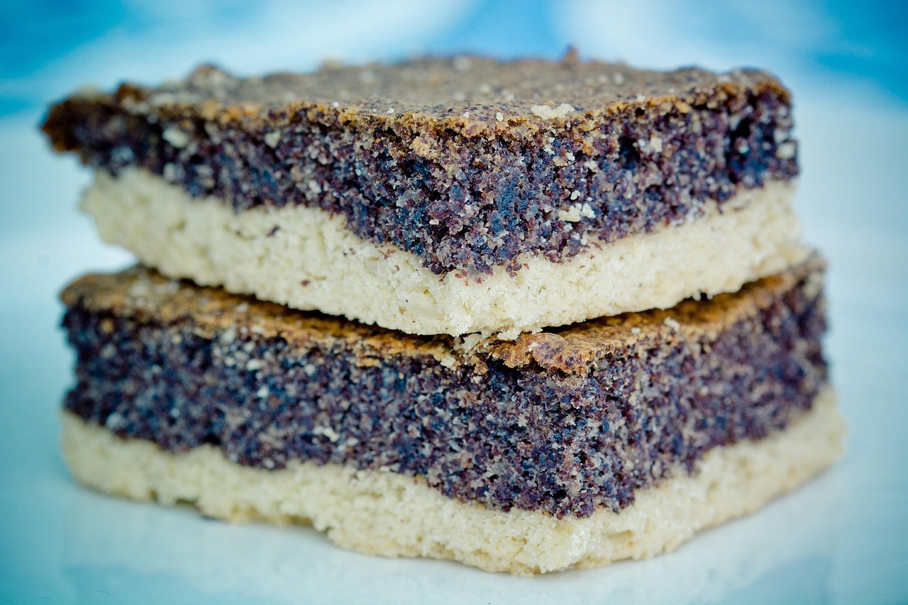 mohnkuchen, blechkuchen, mohnsamen, kuchenstück, kuchen, mohn, gemahlen, gebacken, backen, süß, lecker, nachtisch, stück, angeschnitten, gebäck, bäckerei, papaver, samen, lebensmittel, nahrung, teig, mohnkuchen, mohnkuchen, mohnkuchen, mohnkuchen, mohnkuchen
