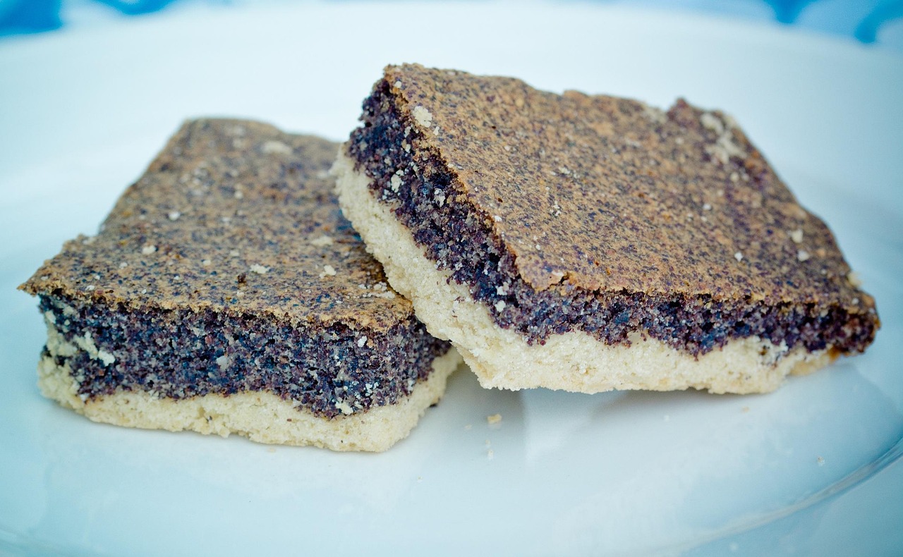 mohnkuchen, blechkuchen, mohnsamen, kuchenstück, kuchen, mohn, gemahlen, gebacken, backen, süß, lecker, nachtisch, stück, angeschnitten, gebäck, bäckerei, papaver, samen, lebensmittel, nahrung, teig, mohnkuchen, mohnkuchen, mohnkuchen, mohnkuchen, mohnkuchen, blechkuchen, blechkuchen, blechkuchen, blechkuchen, kuchenstück