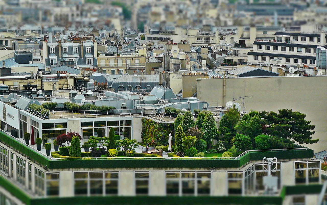 terrazza sul tetto, giardino pensile, architettura, parigi, tetti, costruzione, case, housetop, città, paesaggio urbano, da sopra, tilt shift, giardino pensile, giardino pensile, giardino pensile, giardino pensile, giardino pensile