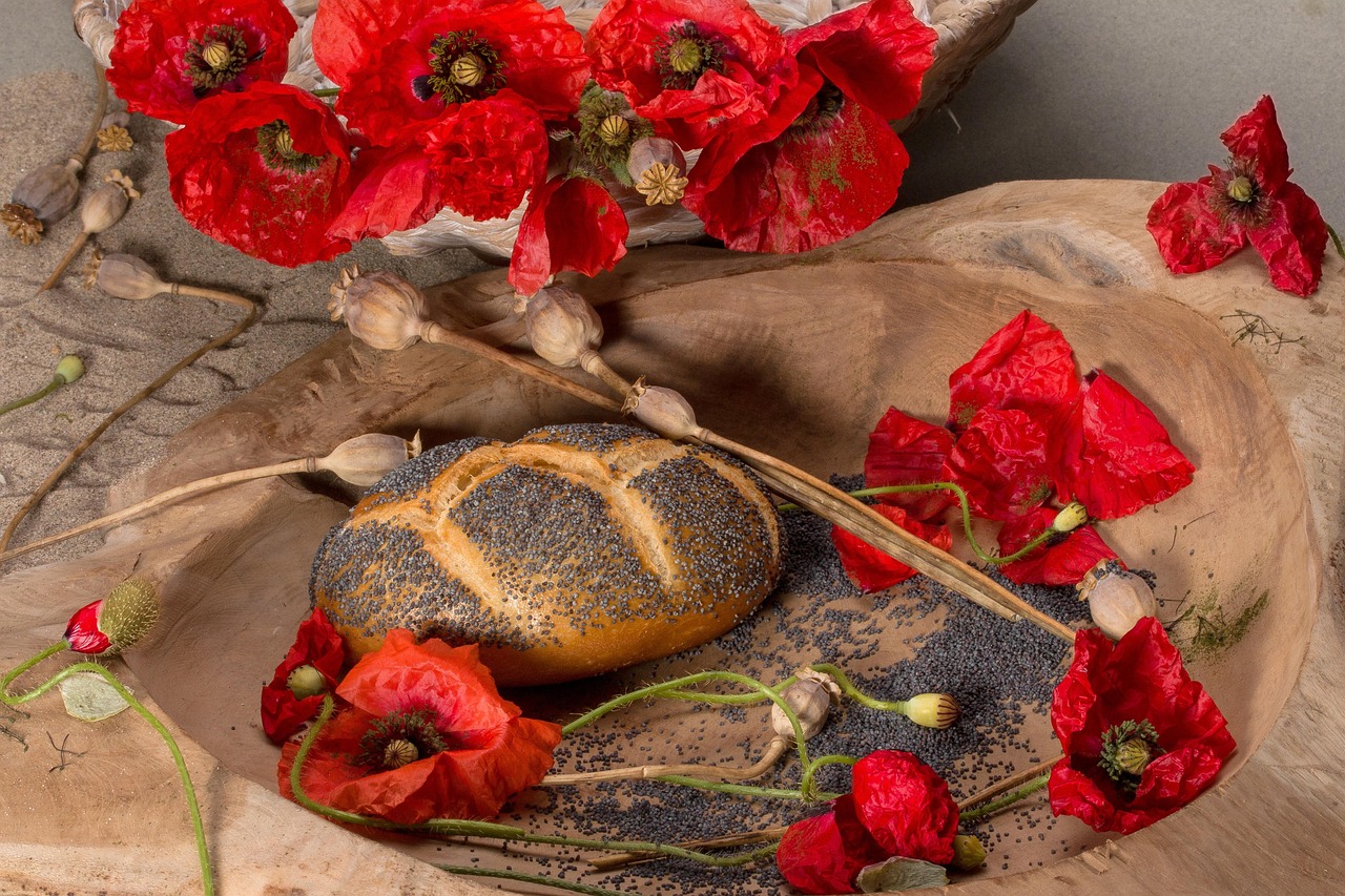 mohn, blumentapete, mohnblüte, natur, mohnkapsel, blume, brötchen, samen, blumen hintergrund, schöne blumen, mohnsamen, mohnbrötchen